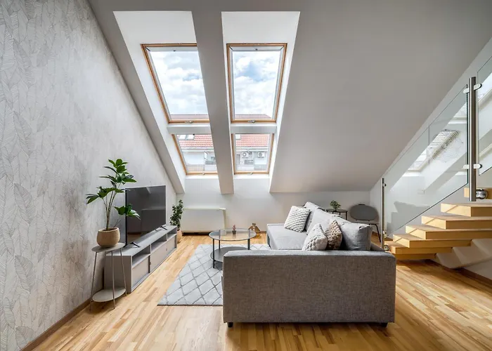 Prime 20 - By Immokon